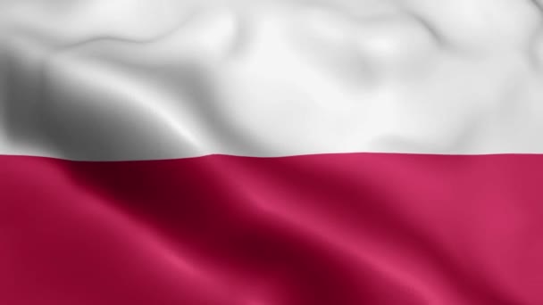 Polsko Vlajkové Video Vlnící Větru Polsko Vlajková Smyčka Vlnící Větru — Stock video