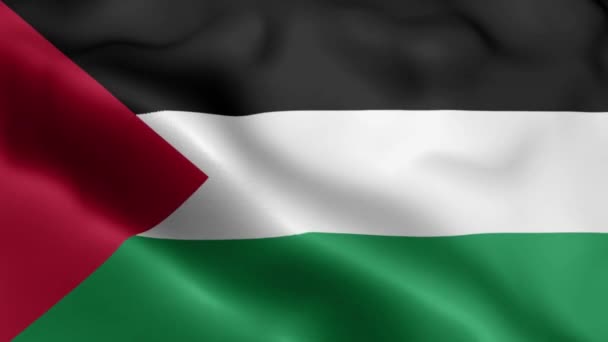 巴勒斯坦国国旗视频在风中飘扬 巴勒斯坦国的国旗波浪环在风中飘扬 现实的巴勒斯坦国国旗背景 巴勒斯坦国国旗环路闭路1080P全Hd 1920 — 图库视频影像