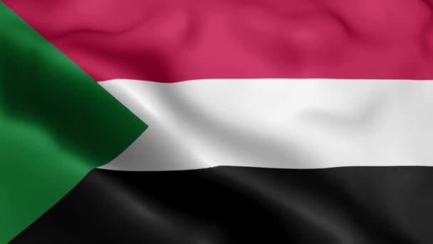 Sudan Flag Video Vlnící Větru Súdánská Vlajková Vlna Vlnící Větru — Stock video