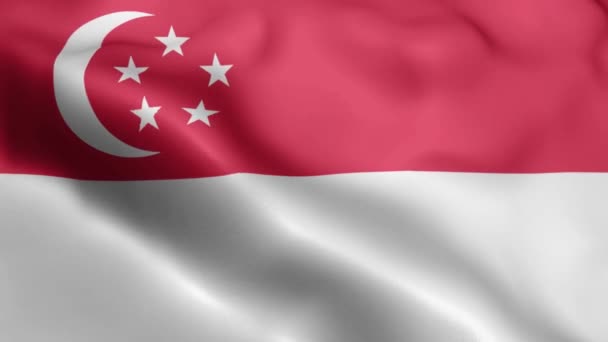 Singapurská Vlajka Video Vlnění Větru Singapurská Vlajková Vlna Vlnící Větru — Stock video