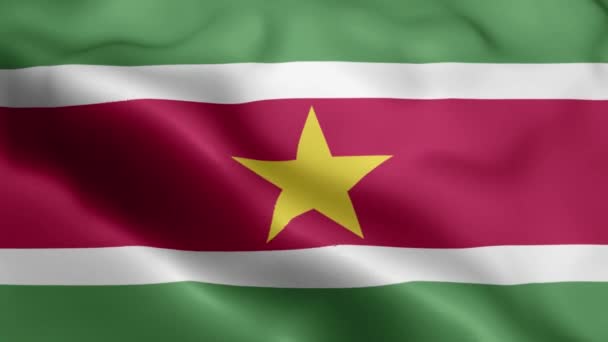 Surinam Bandera Vídeo Ondeando Viento Surinam Flag Wave Loop Ondeando — Vídeo de stock