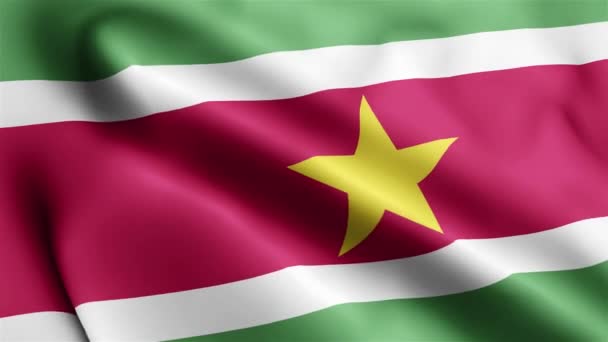 Suriname Bandiera Video Sventolando Nel Vento Suriname Flag Wave Loop — Video Stock