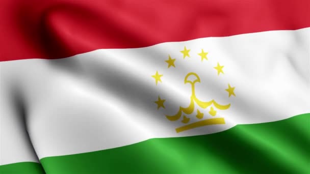 Tadzjikistan Flagga Video Viftar Vinden Tadzjikistan Flagga Vågen Loop Vinkar — Stockvideo