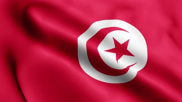 Tunisien Flagga Video Viftar Vinden Tunisien Flagga Vågen Loop Vinkar — Stockvideo
