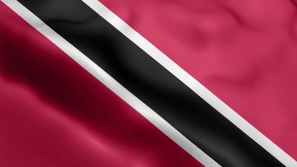 Trinidad Tobago Flag Rüzgarda Dalgalanan Videosu Trinidad Tobago Bayrak Dalgası — Stok video