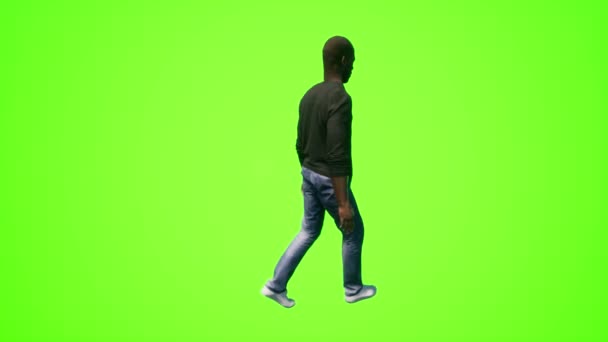 Siyah Adam Şehirde Geziyor Gerçekçi Boyutlu Insanlar Yeşil Ekrana Yansıtılıyor — Stok video