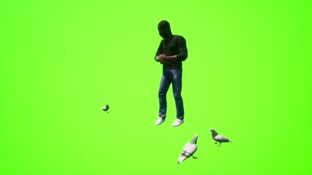 Человека Зеленый Экран Молодой Черный Человек Кормит Птиц Соседнем Парке — стоковое видео