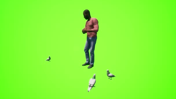 Köyde Kuşları Hayvanları Besleyen Afrikalı Adam Yeşil Ekranda Izole Edilmiş — Stok video