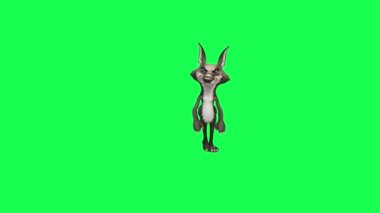 Yeşil ekranda kurt çizgi film karakterinin 3D animasyonu. Önden bakıldığında krom anahtar yüksek kaliteli arka planda geziniyor ve merak ediyor.