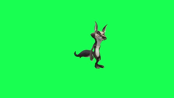 緑の画面にオオカミの3D漫画のアニメーション不思議なとフロントビューから高品質の背景4Kとクロマキーで見て回る — ストック動画