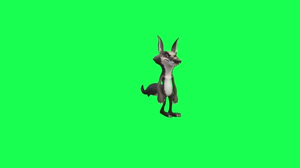 Tekenfilm Animatie Van Een Wolf Groen Scherm Rond Kijken Zich — Stockvideo
