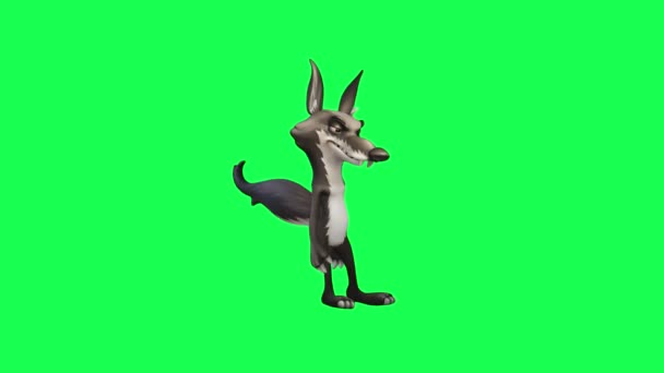 Анимация Мультяшного Волка Слушающего Смотрящего Зеленый Экран — стоковое видео