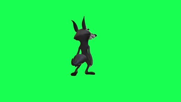 卡通狼在绿色屏幕上行走和搜索的3D动画 — 图库视频影像