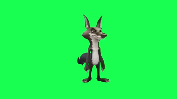 Animatie Van Een Wolf Een Groen Scherm Afvragen Bang Teleurgesteld — Stockvideo