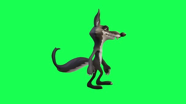 Animatie Van Wolf Stripfiguur Het Groene Scherm Praten Bewegen Draaien — Stockvideo