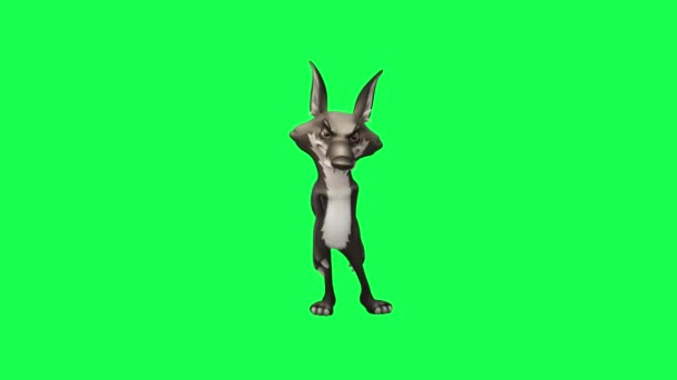 在绿屏上行走的狼卡通人物3D动画 从后视镜中看到高质量背景4K的Chroma键 — 图库视频影像