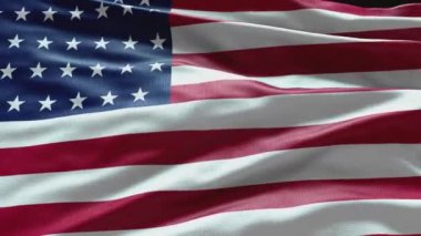 ABD bayrağı canlandırma arka planı birleşik devlet adamı
