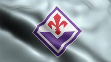 Fiorentina Flag 'in rüzgarda dalgalanan videosu. Fiorentina Flag dalgalı döngüsü rüzgarda sallanıyor. Gerçekçi Fiorentina Flag Arkaplan Döngüsü Kapatma 1080p Tam HD 1920X1080 görüntüsü.