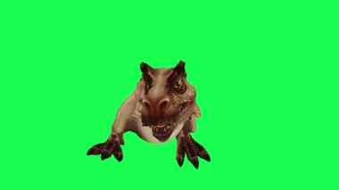 Yeşil ekranda oynayan 3D dinozor, insanlar 4k animasyon sağlıyor.