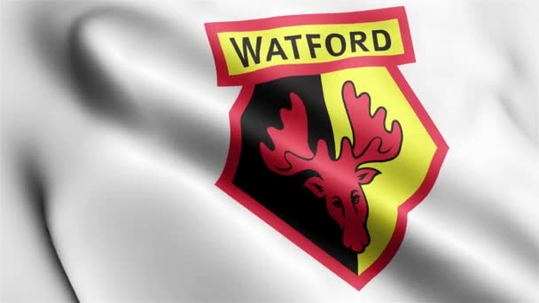 Watford Flag Rüzgarda Sallanan Videosu Watford Bayrak Dalgası Döngüsü Rüzgarda — Stok video