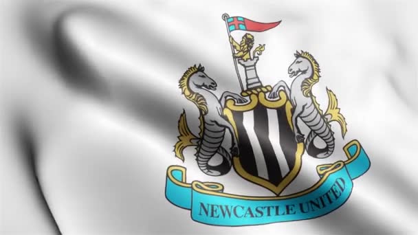 Newcastle United Flag Rüzgarda Dalgalanan Videosu Newcastle United Bayrak Dalgası — Stok video