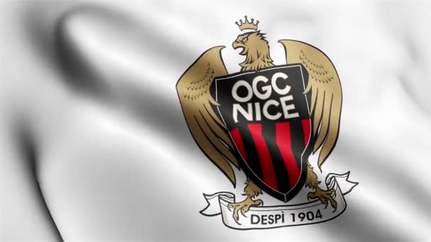 Ogc Bel Video Bandiera Sventola Nel Vento Ogc Nice Flag — Video Stock