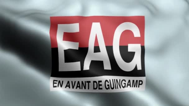 Guingamp Bandiera Video Sventolando Nel Vento Guingamp Flag Wave Loop — Video Stock