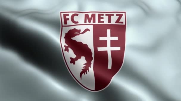 Metz Flag Videosu Rüzgarda Dalgalanıyor Metz Bayrak Dalgası Döngüsü Rüzgarda — Stok video
