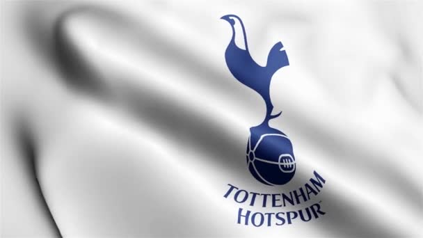 Tottenham Hotspur Flagga Video Vinkar Vinden Tottenham Hotspur Flag Wave — Stockvideo