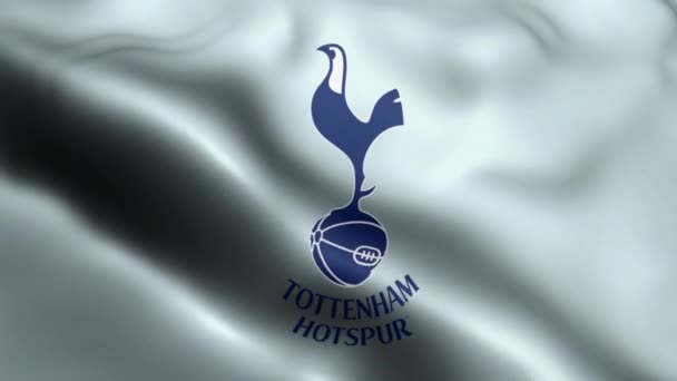 Tottenham Hotspur Flag视频在风中飘扬 托特纳姆_热刺国旗环在风中飘扬 现实的Tottenham Hotspur Flag Background Looping Closeup — 图库视频影像