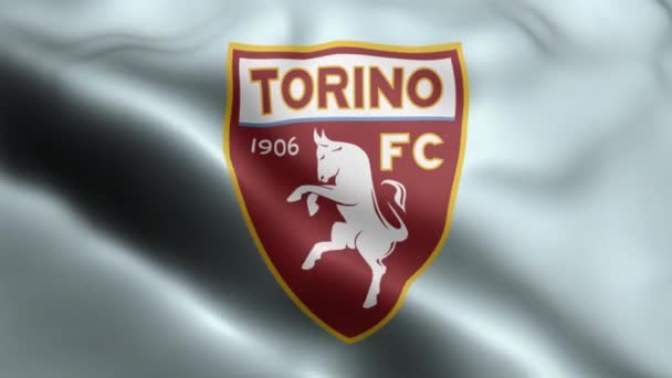 Torino Flag Rüzgarda Dalgalanan Videosu Torino Bayrak Dalgası Döngüsü Rüzgarda — Stok video