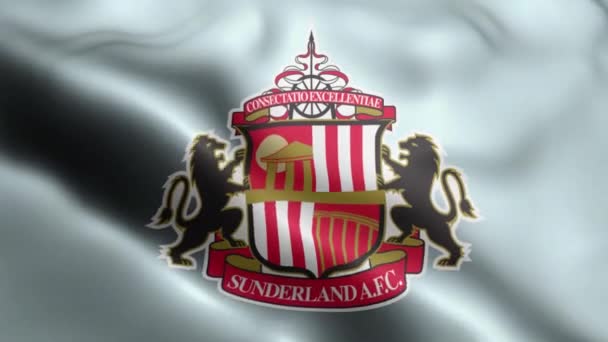 바람에 흔들리는 플래그 바람에 흔들리는 플래그 웨이브보입니다 Sunderland Flag Background — 비디오