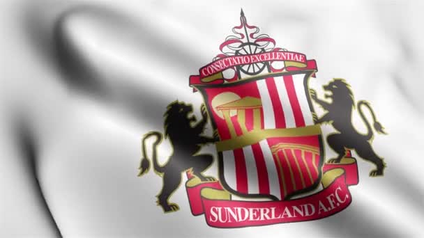 Sunderland Flag Rüzgarda Dalgalanan Videosu Sunderland Bayrak Dalgası Döngüsü Rüzgarda — Stok video