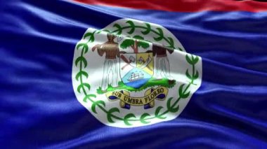  US Citt di Palermo Flag background Looping Closeup 1080p Full HD 