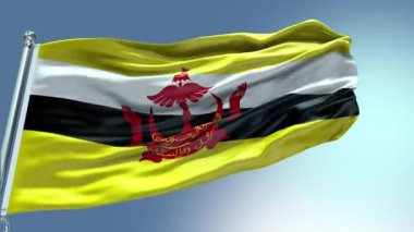  US Citt di Palermo Flag background Looping Closeup 1080p Full HD 