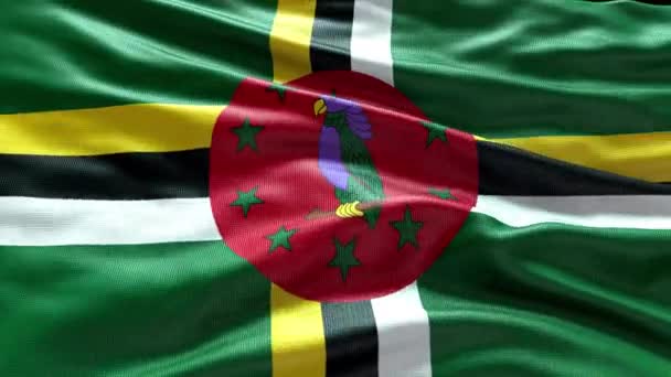 Render Dominica Flag Video Waving Wind Dominica Flag Wave Loop — Vídeo de Stock
