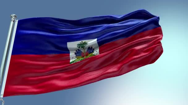 Render Haiti Flag Video Waving Wind Haiti Flag Wave Loop — Stok Video
