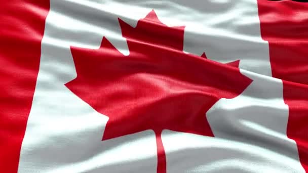 Render Canada Flag Video Waving Wind Canada Flag Wave Loop — Αρχείο Βίντεο
