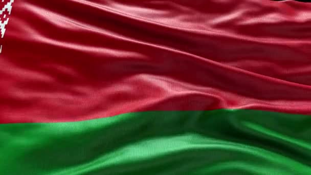 Render Belarus Flag Video Waving Wind Belarus Flag Wave Loop — Stockvideo