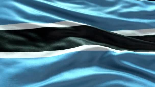 Render Botswana Flag Video Waving Wind Botswana Flag Wave Loop — 图库视频影像