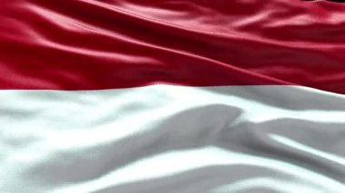 4k render Monaco Flag video rüzgarda dalgalanıyor. Monaco Bayrak Dalgası Döngüsü rüzgarda dalgalanıyor. Gerçekçi Monako Bayrağı geçmişi. Monaco Bayrak Döngüsü Kapanışı 1080p Tam HD 19