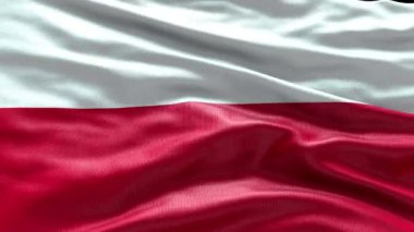 4k rüzgarda dalgalanan Polonya bayrağı görüntüsü. Polonya Bayrak Dalgası Döngüsü rüzgarda dalgalanıyor. Gerçekçi Polonya Bayrağı geçmişi. Polonya Bayrak Döngüsü Kapanışı 1080p Tam HD 19