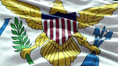 4k rüzgarda dalgalanan Birleşik Devletler Virjin Adaları Bayrağı videosu. Birleşik Devletler Virjin Adaları Bayrak Dalgası Döngüsü rüzgarda sallanıyor. Gerçekçi Birleşik Devletler Virgin Adası