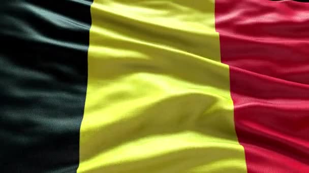 Render Belgium Flag Video Waving Wind Belgium Flag Wave Loop — Vídeos de Stock