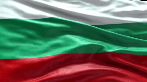 4K使保加利亚国旗视频在风中飘扬 保加利亚国旗波浪环在风中飘扬 现实的保加利亚国旗背景 保加利亚国旗环路1080P — 图库视频影像