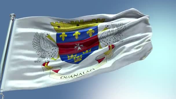 Render Saint Barthlemy Flag Video Rüzgarda Dalgalanıyor — Stok video