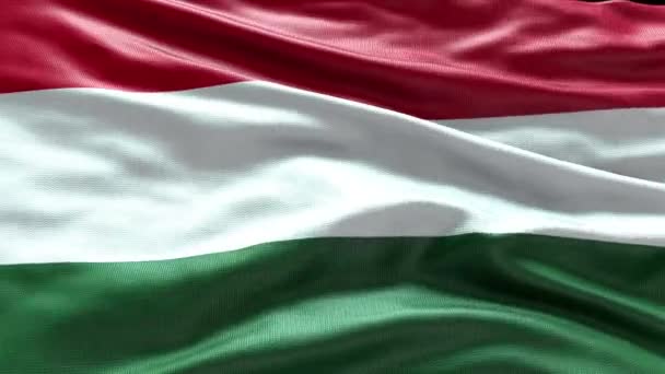 바람에 흔들리는 렌더링 헝가리 플래그 비디오 바람에 흔들리는 헝가리 현실적인 — 비디오
