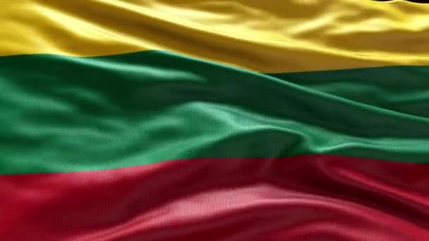 4Kレンダリングリトアニアフラッグビデオ風で振る リトアニアの旗の波のループが風で揺れている リアルなリトアニア旗の背景 リトアニア ループ 閉じる 1080 — ストック動画