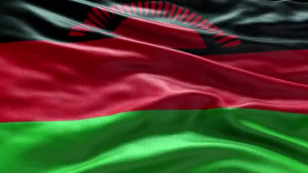 Rendent Malawi Drapeau Vidéo Agitant Dans Vent Malawi Flag Wave — Video