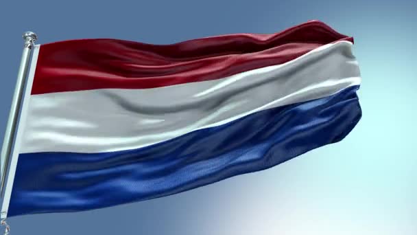 4Kレンダリングオランダフラッグビデオ風で振る オランダの旗の波のループは風で振っています 現実的なオランダ旗の背景 オランダ — ストック動画